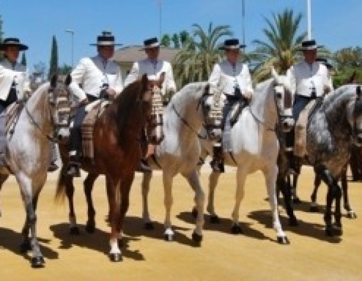 Horse Fair Jerez Feria Caballeros 10