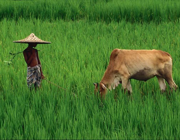 Bangladesh